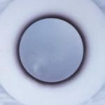 Clear 19R-03 Eyes