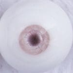 Pink Eyes