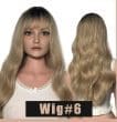 Wig #6