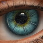 Eyes 1
