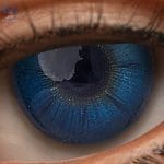 Eyes 19