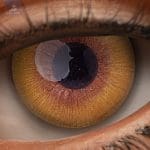 Eyes 27