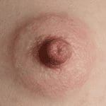 Graceful Daisy Areolas and Labia