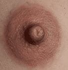 Misty Rose Areolas and Labia