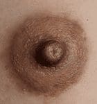 Mysterious Lilac Areolas and Labia