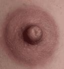 Passion Peony Areolas and Labia