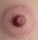 Tender Rosa Areolas and Labia