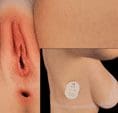 Add Sucking Vagina Internal Pump Version +$149.00