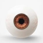 Brown Eyes 4 with Veins