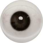 Eyes 1