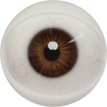 Eyes 2