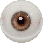 Eyes 3