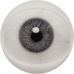 Eyes 4