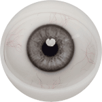Eyes 5