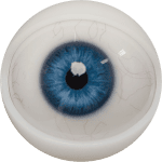 Eyes 6