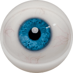 Eyes 7