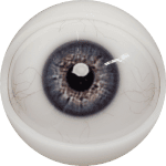 Eyes 8