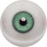 Eyes 9