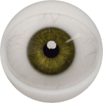 Eyes 10