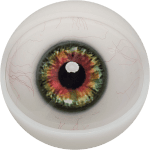 Eyes 13