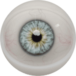 Eyes 14