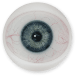 Eyes 15