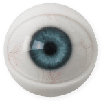 Eyes 16