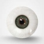 Grey-Green Eyes with Veins