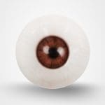 Light Brown Eyes with Veins