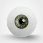 Light olive Green Eyes with Veins