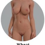 Wheat Skin